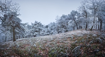 Kliknte pro zobrazen tto fotografie