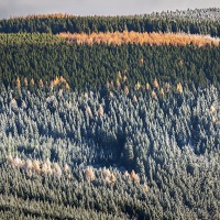 Kliknte pro zobrazen tto fotografie