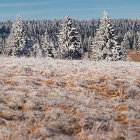 Kliknte pro zobrazen tto fotografie